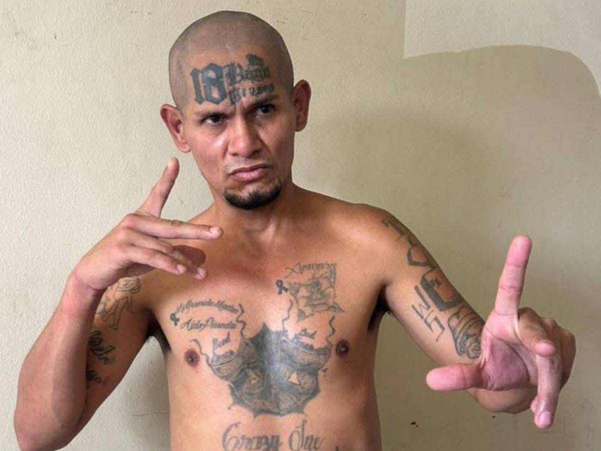 Declaran terroristas a la MS-13, Pandilla 18 y Cartel del Diablo: Los duros castigos para sus miembros