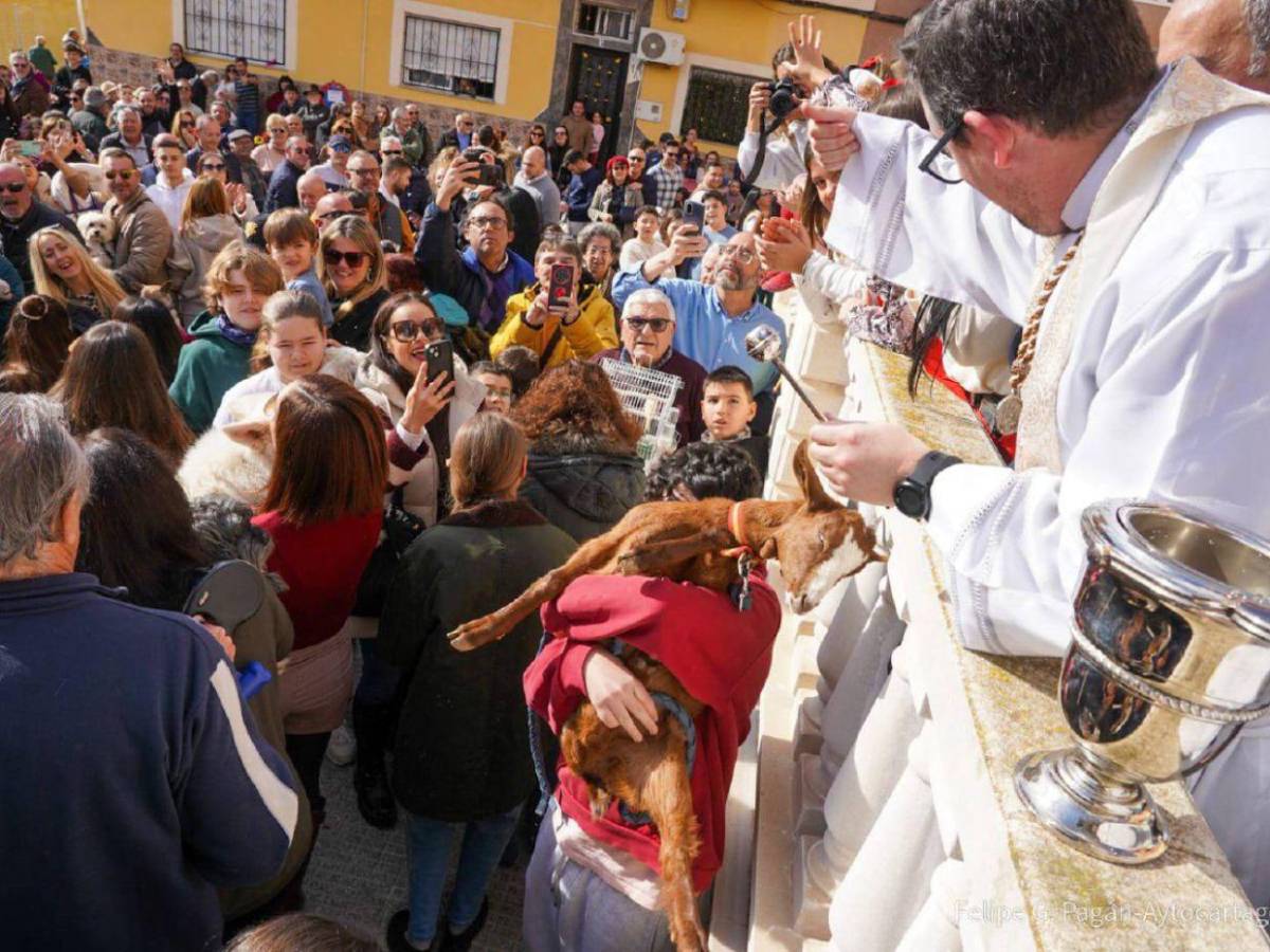 Entre patitas y bendiciones: la emotiva bendición de mascotas en San Antonio de Abad