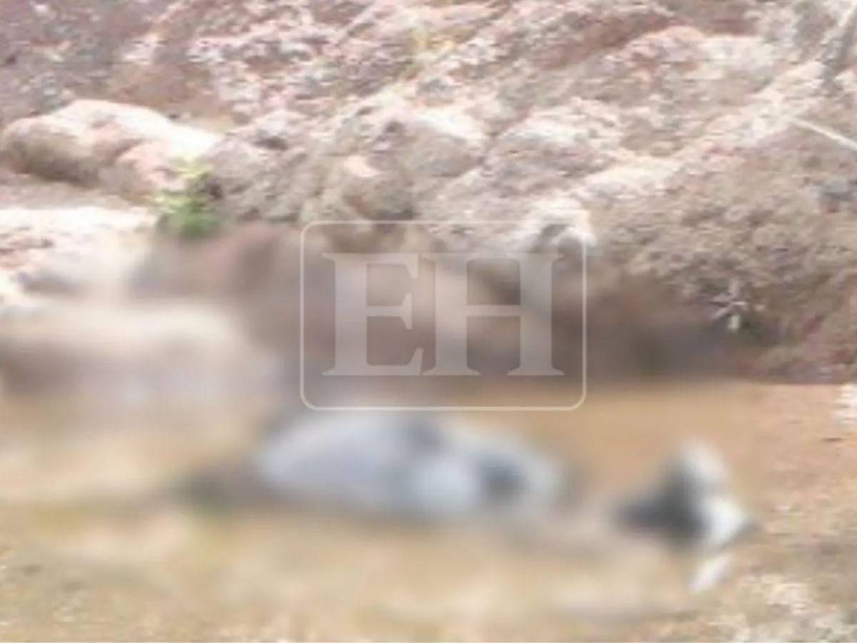 ¿Por qué fue asesinado Jefry Gómez, hallado muerto tras volver de una cena navideña?