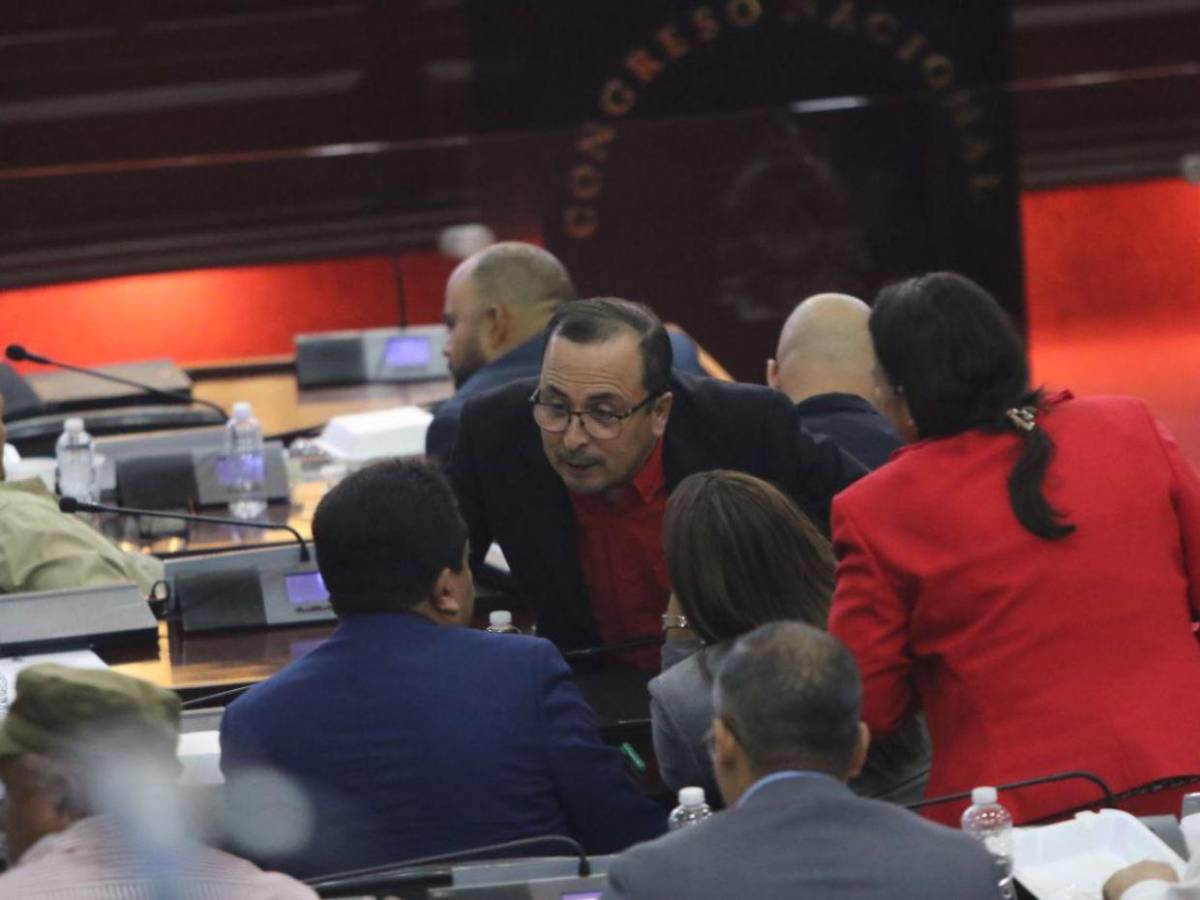 Los diputados con más años en el Congreso y se reeligen en 2025; uno tiene más de 20