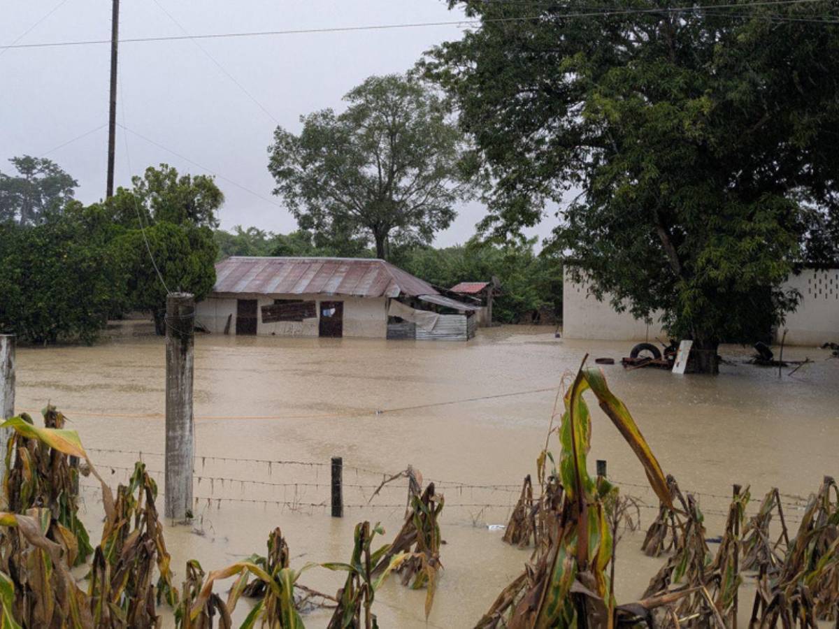 Lluvias en México: suman 37 muertos y 117 municipios afectados por tormenta tropical Raymond