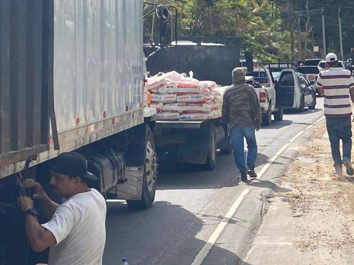 Claves: ¿Por qué protestan transportistas de carga pesada y qué exigen?