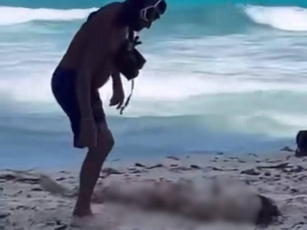 Amiga del joven devorado en Cancún tras su muerte: Te amo por siempre