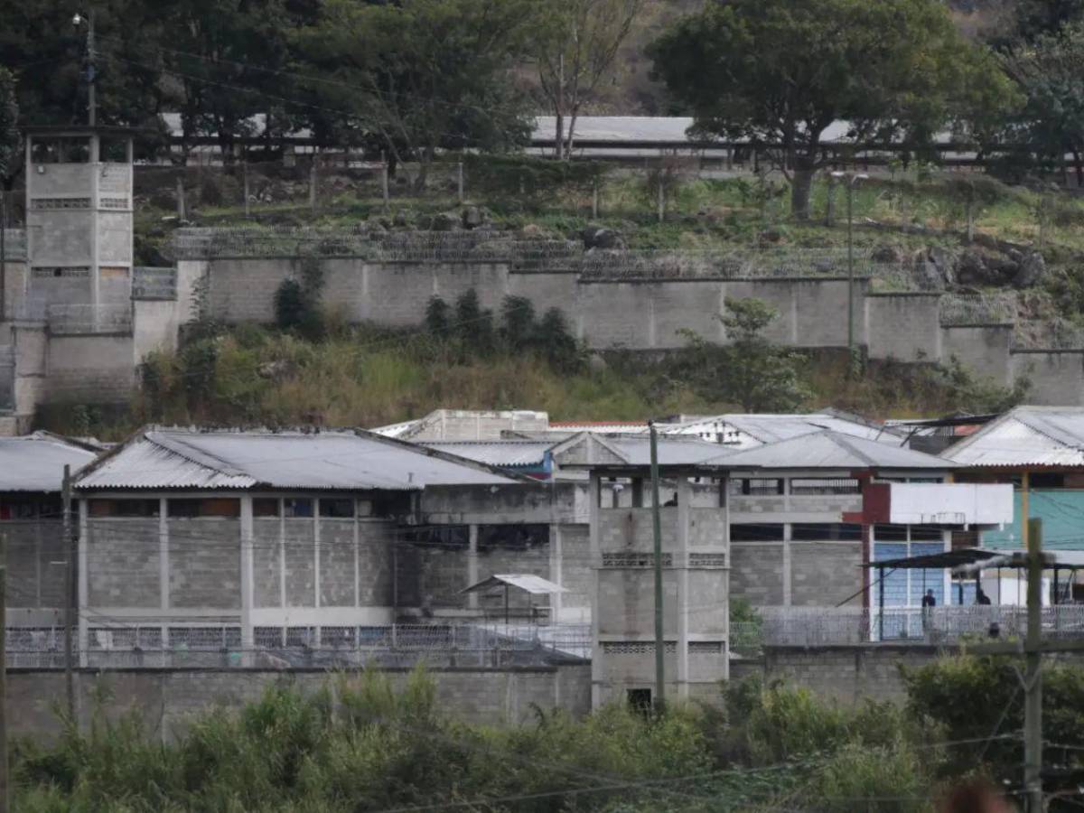 Las diez investigaciones de 2025