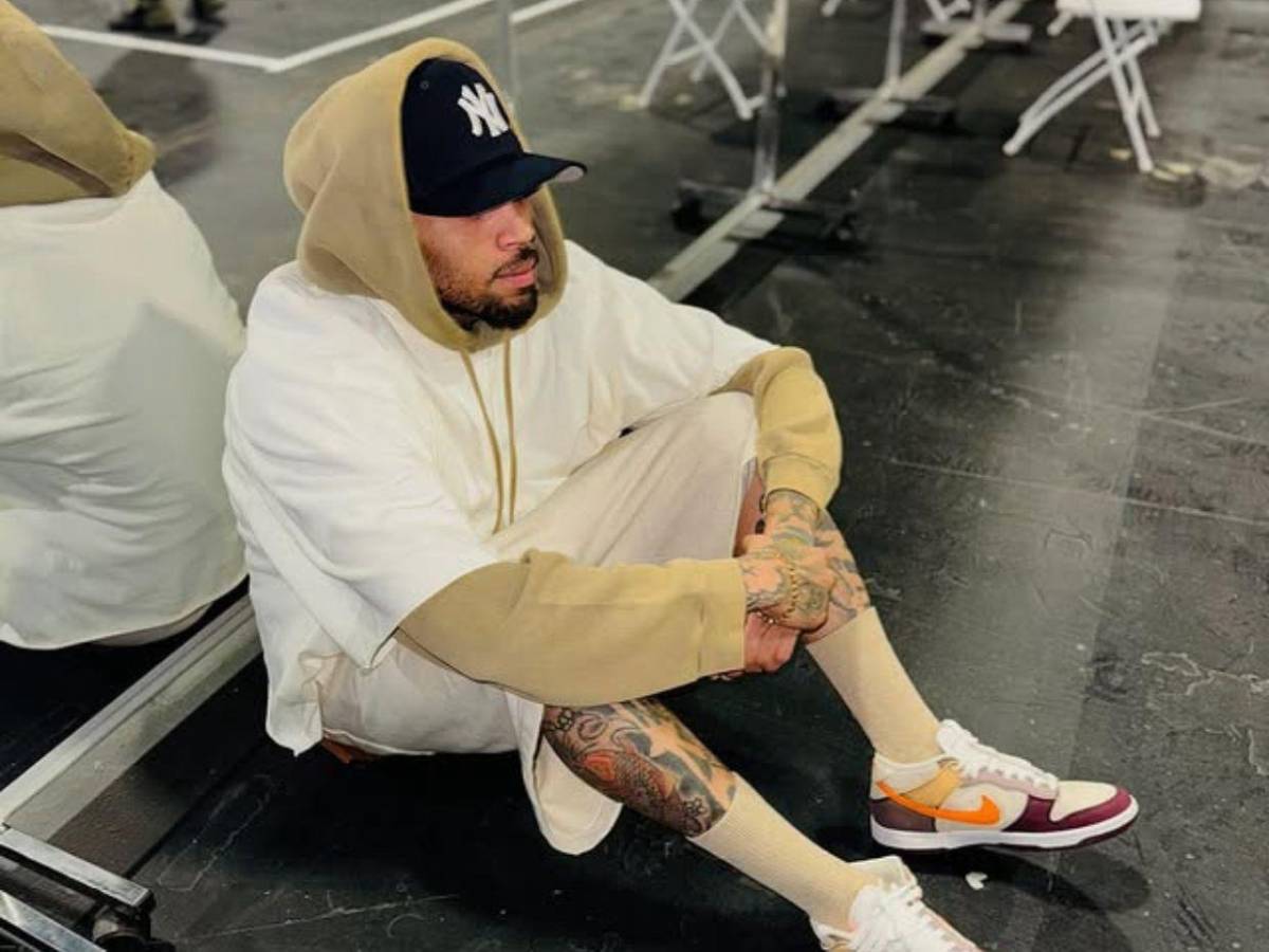 Chris Brown pagará 13 millones a su exempleada tras ataque de su perro