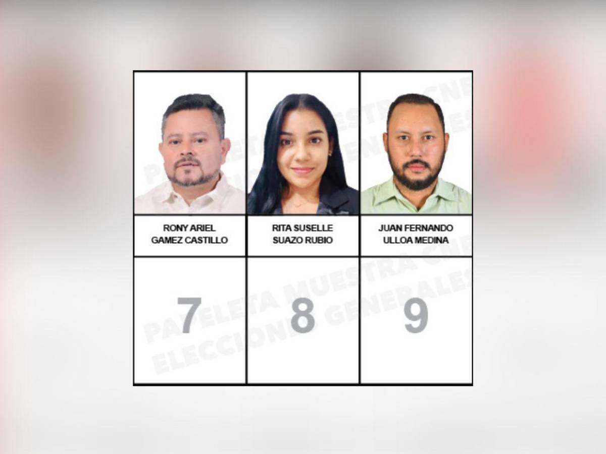 ¿Quiénes son los candidatos a diputados por el PINU-SD, de Nelson Ávila?