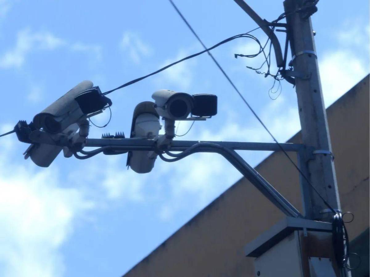 Las diez investigaciones de 2025