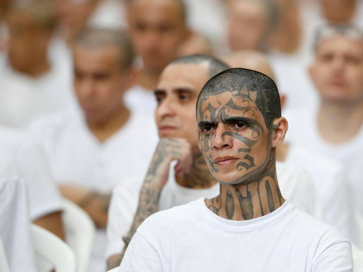 Las imágenes del inédito megajuicio contra más de 400 presuntos pandilleros en El Salvador