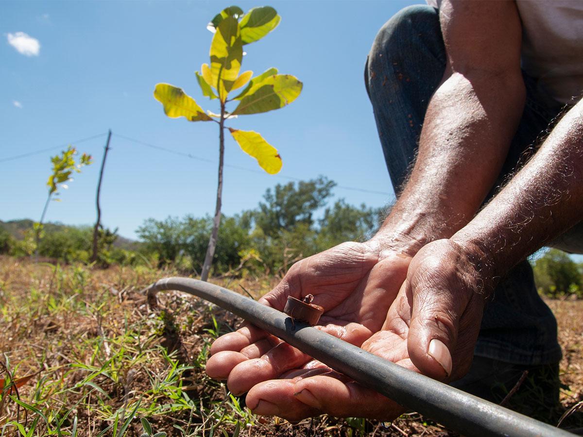 Inicia proyecto de riego con 35 millones de lempiras para el Valle de Jamastrán