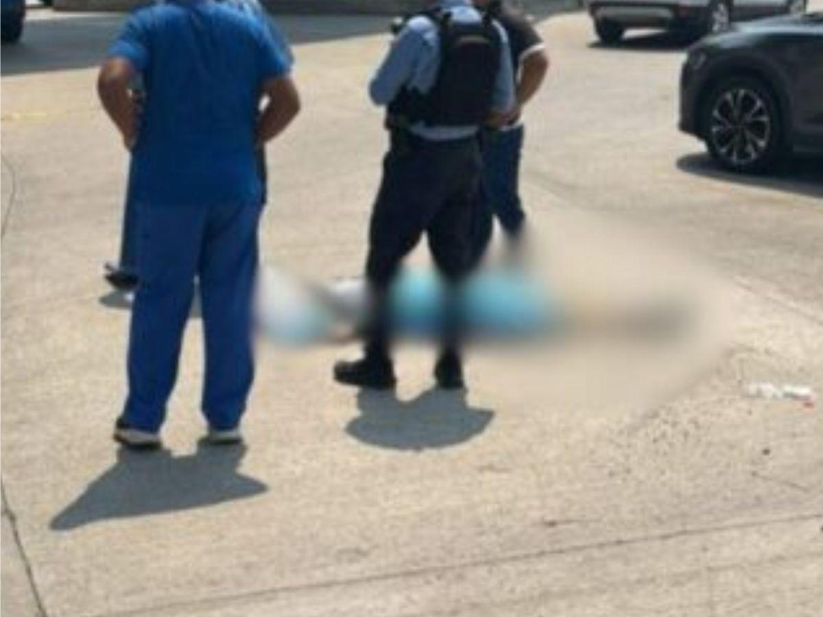 María Isabel Díaz, madre que cayó desde un puente a desnivel en SPS y murió