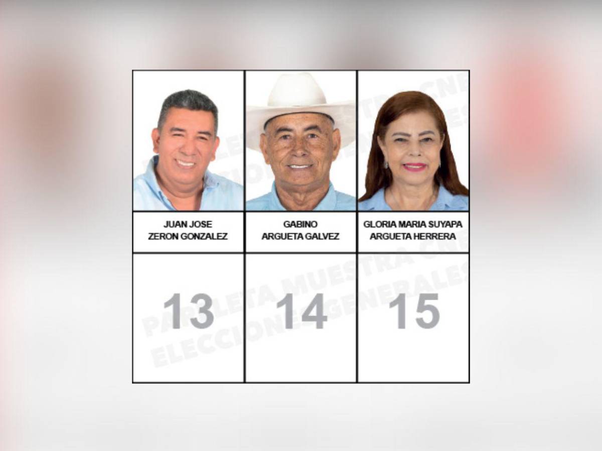 Papeleta con los rostros de los candidatos a diputados nacionalistas que buscan un curul en el CN