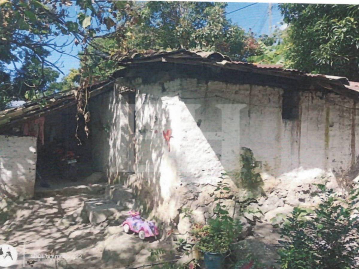 Pidieron L128 mil a Sedesol para proyectos falsos: caso de Julia y Wilmer, pareja de activistas de Libre