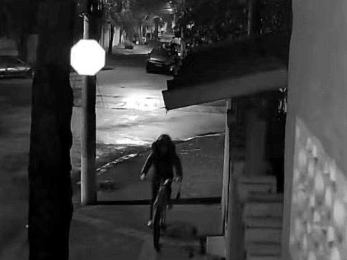 Desmembrada y devorada por perros, así hallaron a Marcelle: ¿Asiático la mató por no corresponderlo?