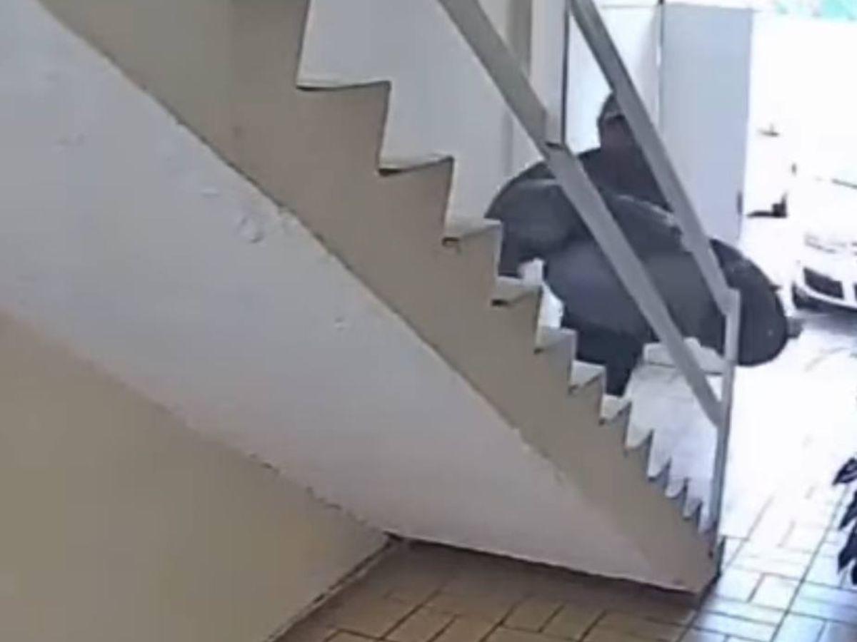 Hallan cuerpo de joven desaparecida en México; su exjefe es el principal sospechoso