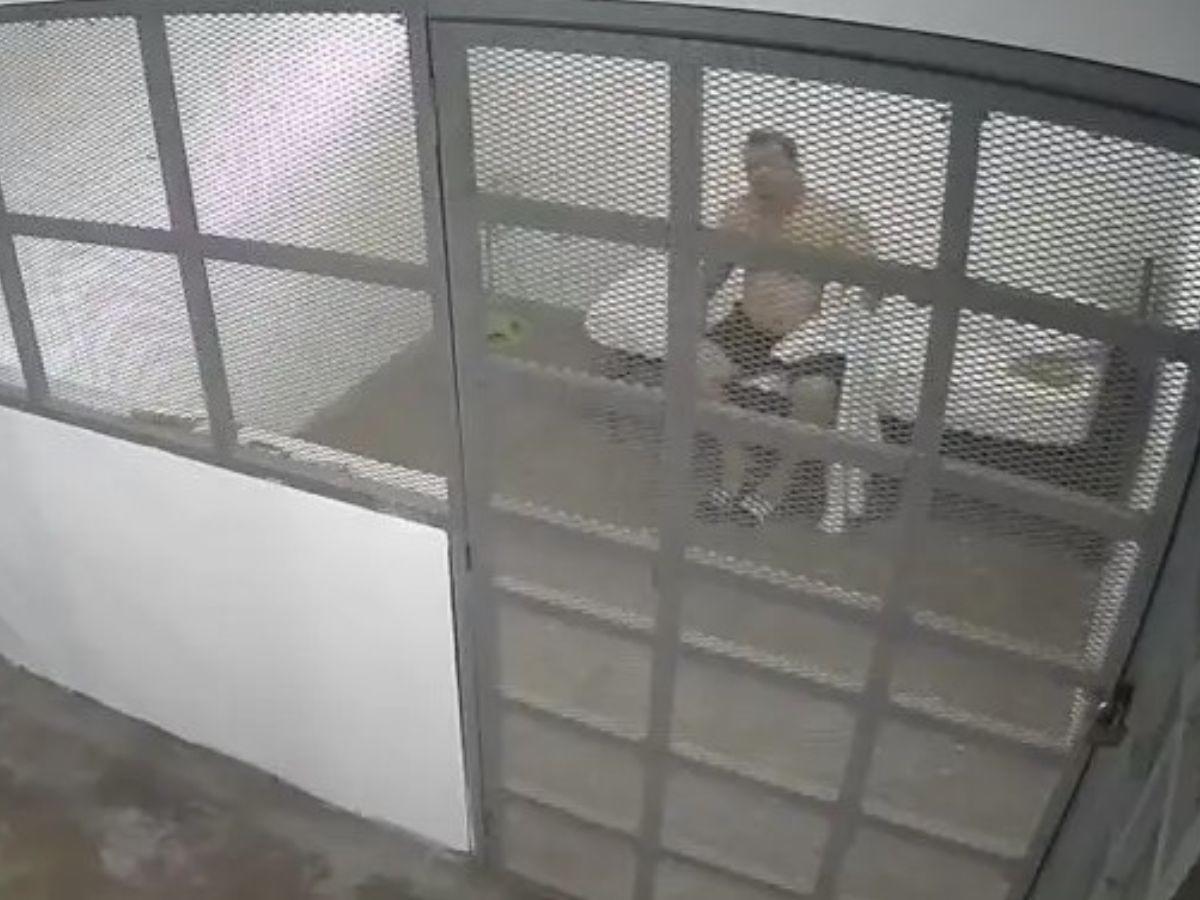 Monitoreado 24/7 : así es la celda donde permanece recluido, gerente de Koriun, Iván Velásquez