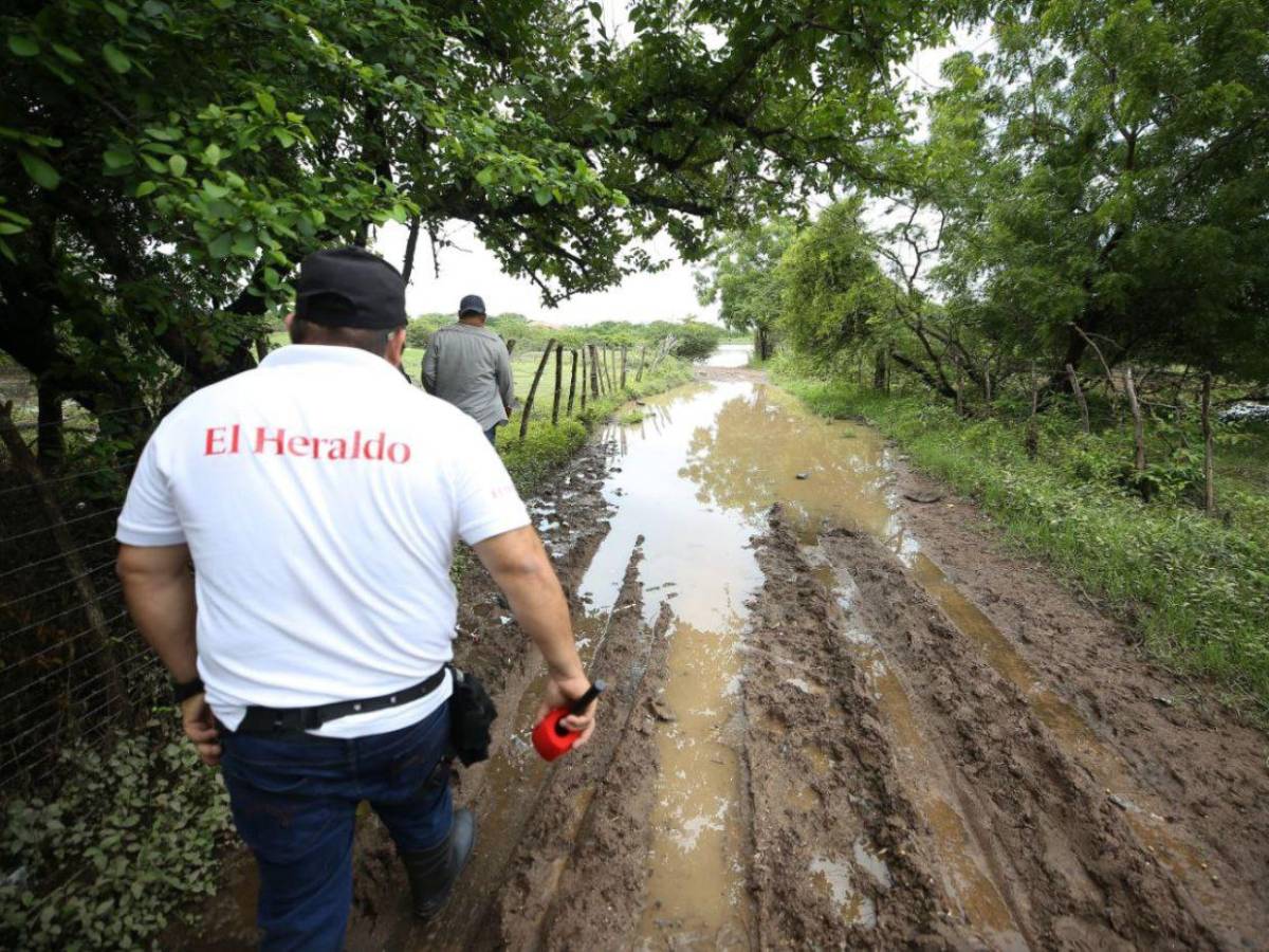 Crisis en Costa de los Amates: inundaciones, cocodrilos y esperanza en medio del caos