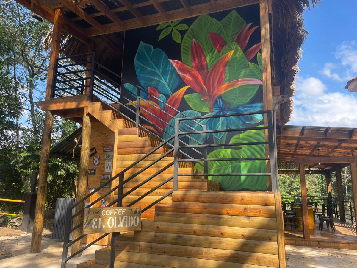 Famoso hotel, guaras rojas y viviendas aseguradas de Martín Flores, líder de cártel de drogas