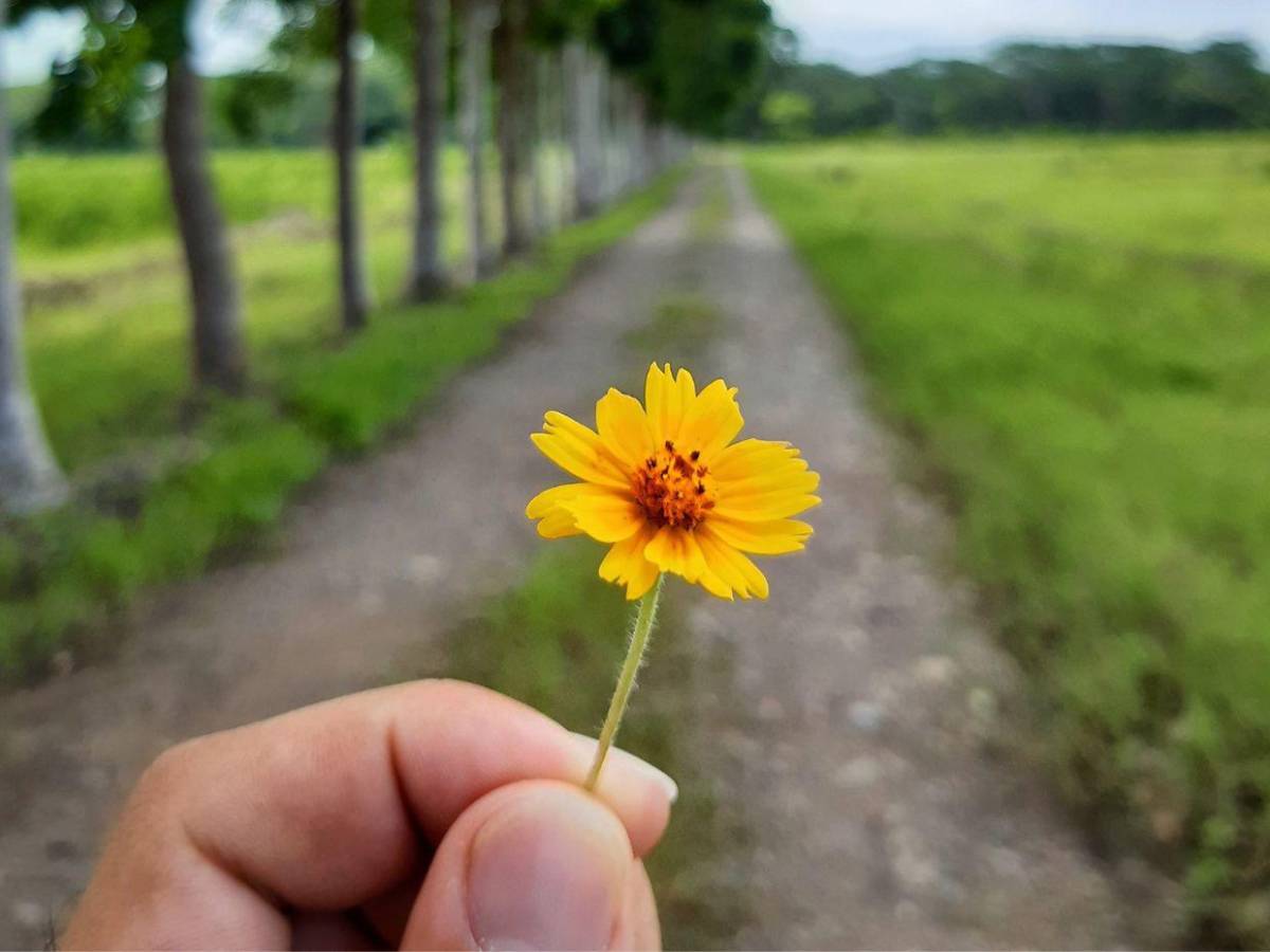 Entre cámaras y naturaleza: así era Fernando Durón, el ingeniero asesinado en la Kennedy
