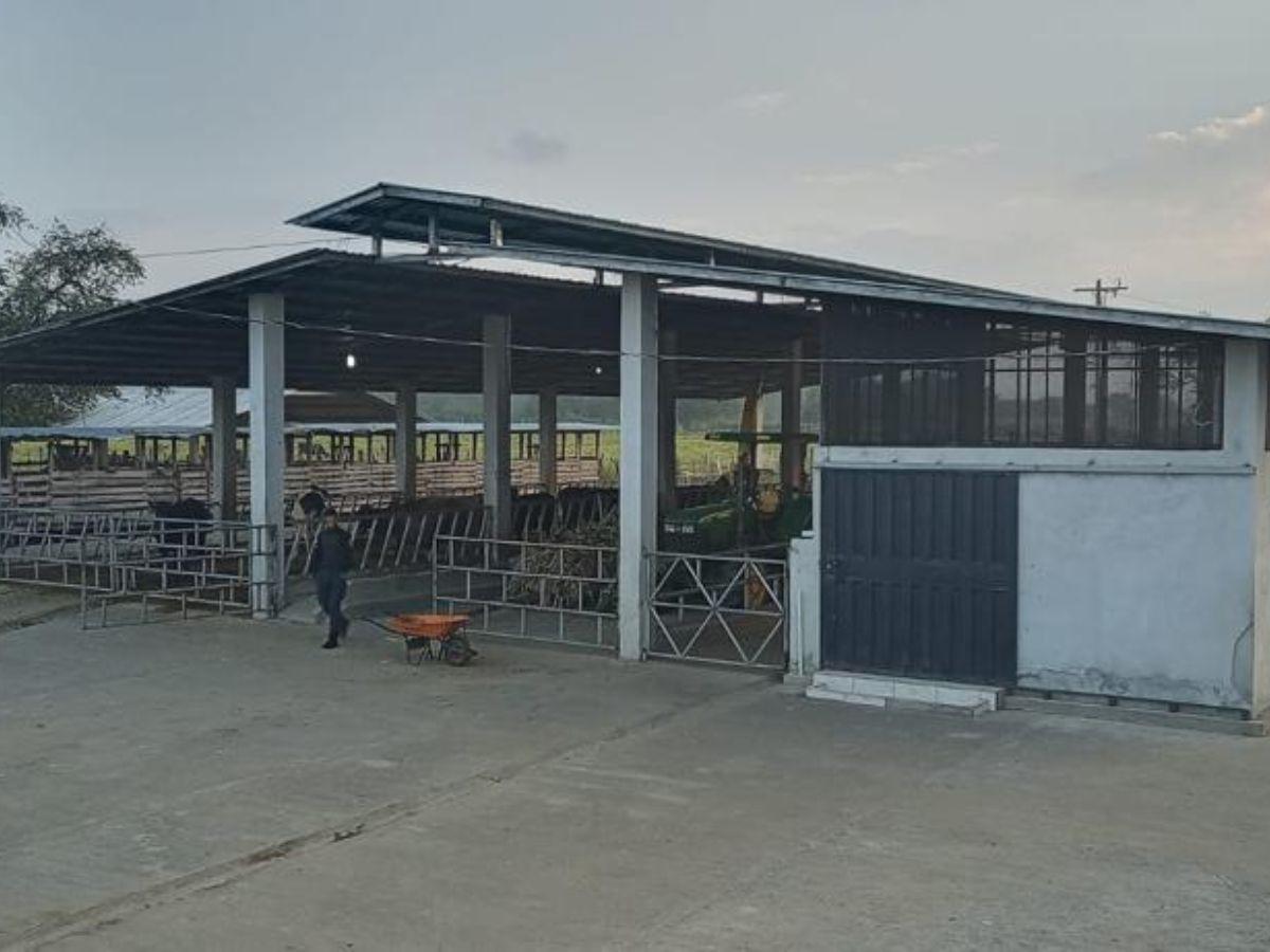 Aseguran más de 40 bienes y maquinarias a tres extraditables capturados