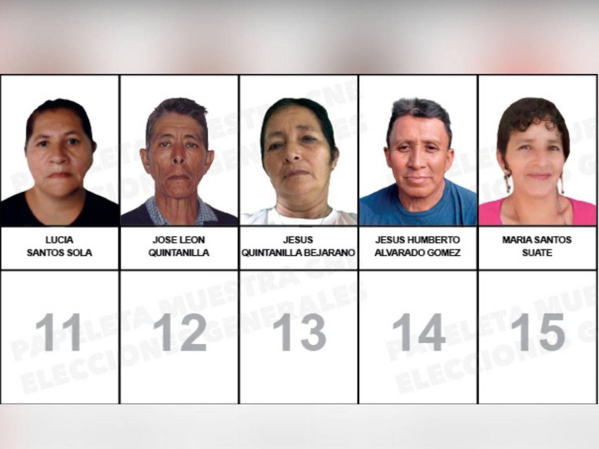 ¿Quiénes son los candidatos a diputados por el PINU-SD, de Nelson Ávila?