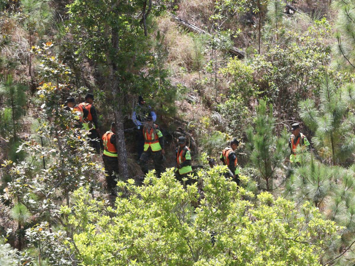 ICF encargó al ambientalista Juan Silva tomar fotos de los taladores antes ser asesinado