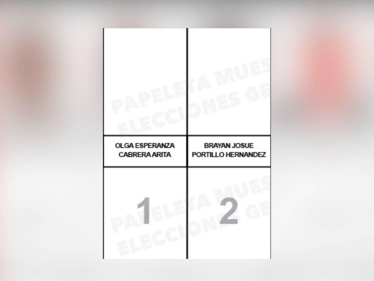 Sin candidatos en Colón y Valle: así va la papeleta de aspirantes a diputados de Chano Rivera