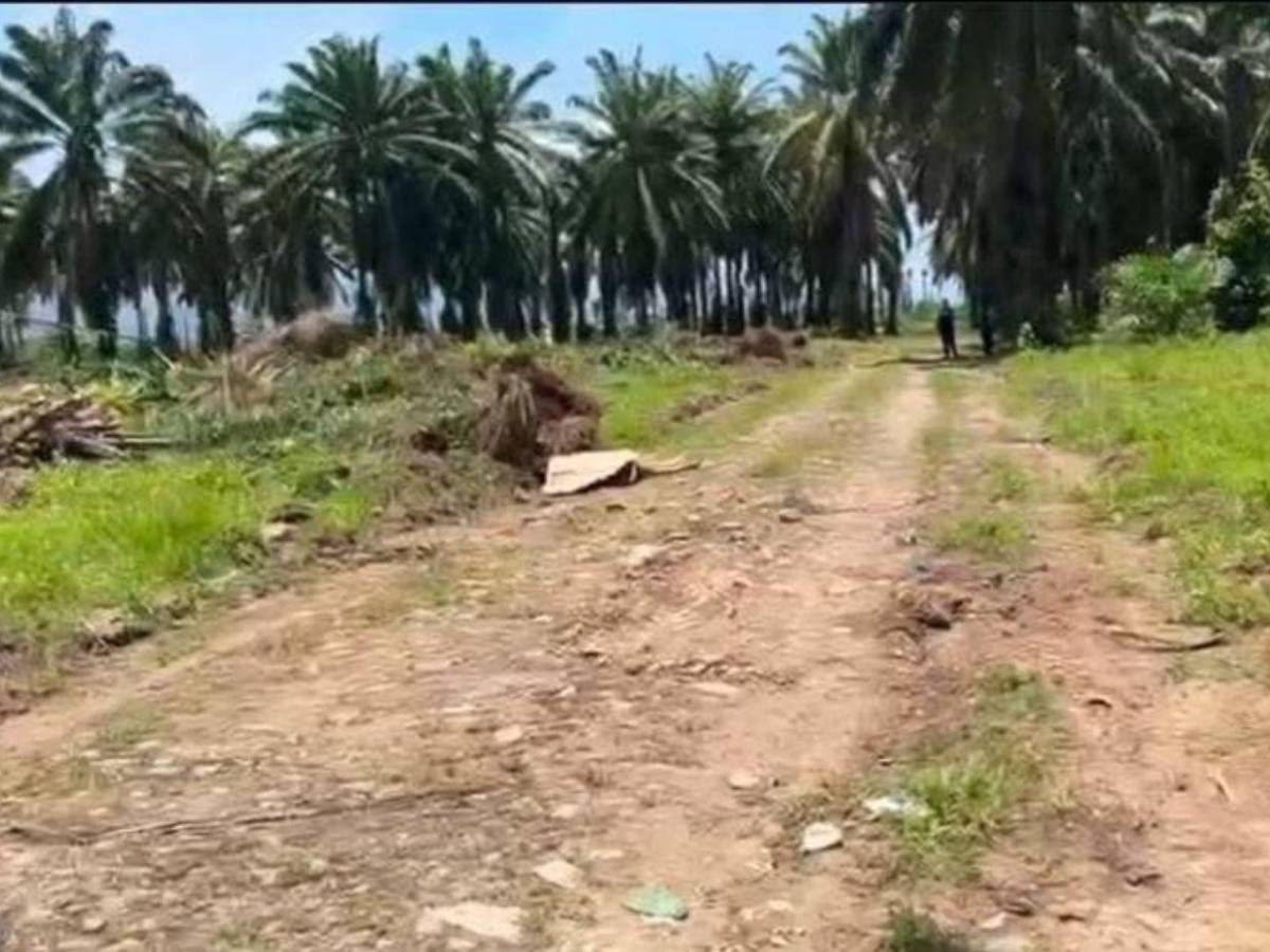 ¿A prisión los sospechosos de asesinar a tiktoker La Mazorca en Colón?