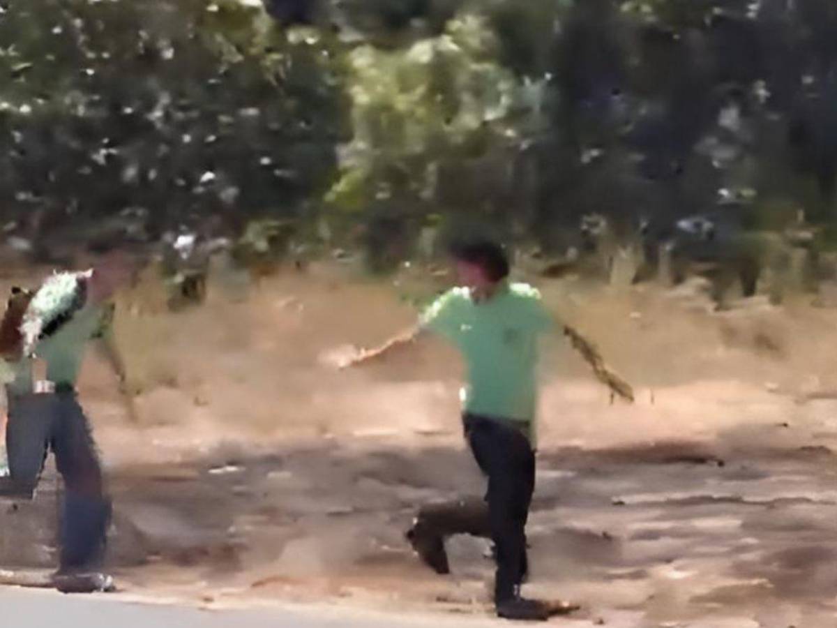 Cuadro a cuadro: así fue asesinado un estudiante por presunto amigo en Costa Rica