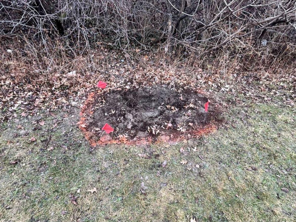 Aliyah Henderson mató a sus hijas y luego las enterró en fosas clandestinas en Cleveland