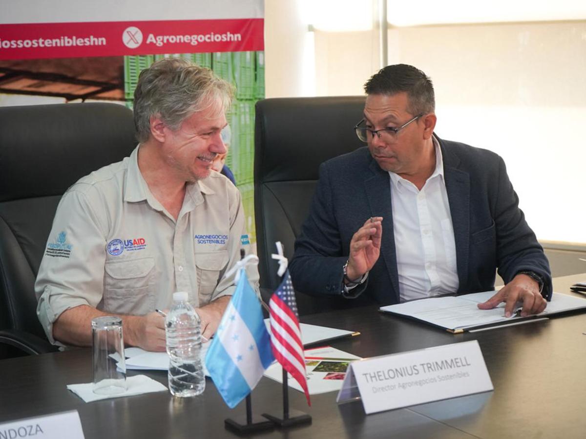 <i>Edilson Ávila, Gerente del IHCAFE, visualiza un futuro prometedor para el café de Honduras, anticipando el impacto positivo de la colaboración con USAID en el desarrollo económico y cultural del país.</i>