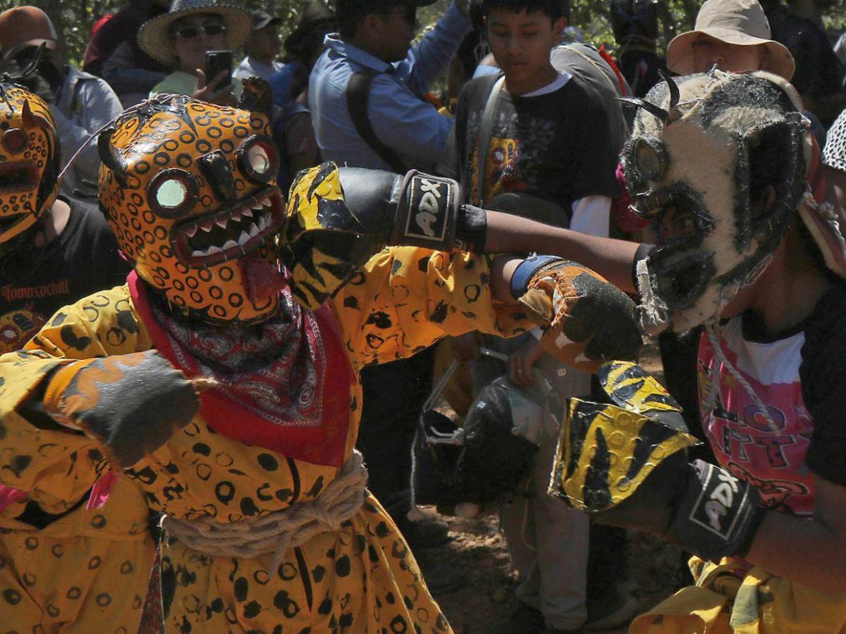 Pelea de jaguares: el ritual ancestral con el que invocan la lluvia en el sur de México