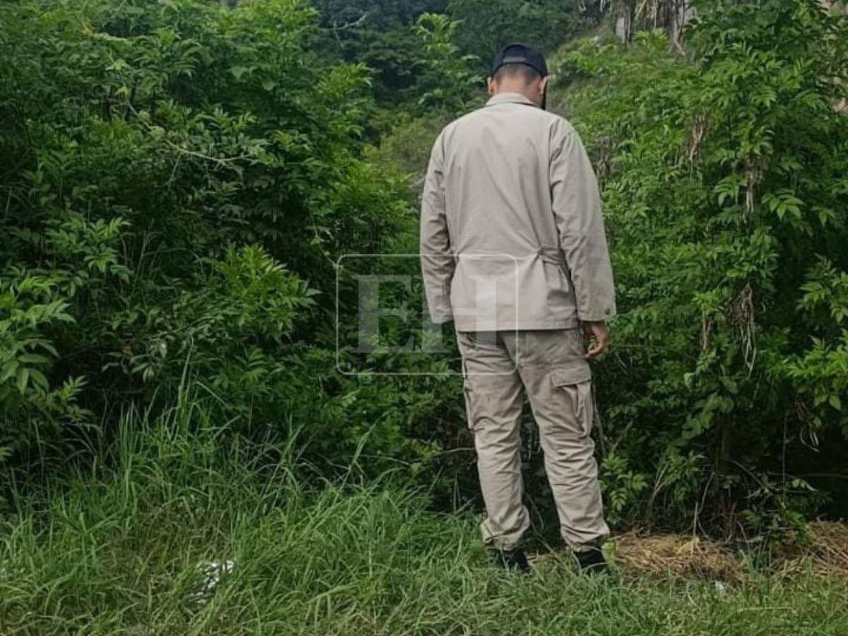 Entre la maleza y con varios disparos: así hallaron a dos hombres asesinados en la colonia 14 de enero