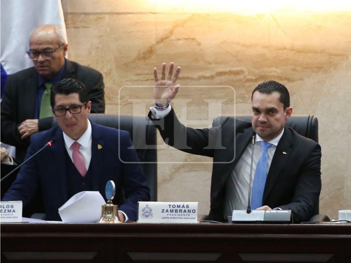 ¿Cuáles son las amnistías aprobadas por el Congreso y en qué consiste cada una?