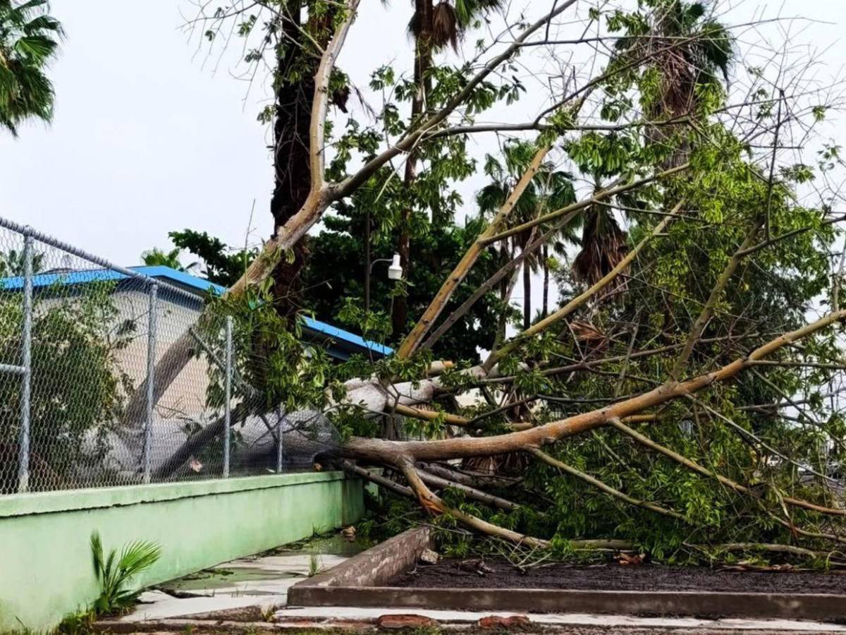 Inundaciones y caída de árboles: huracán Polo deja daños en México tras tocar tierra por segunda vez