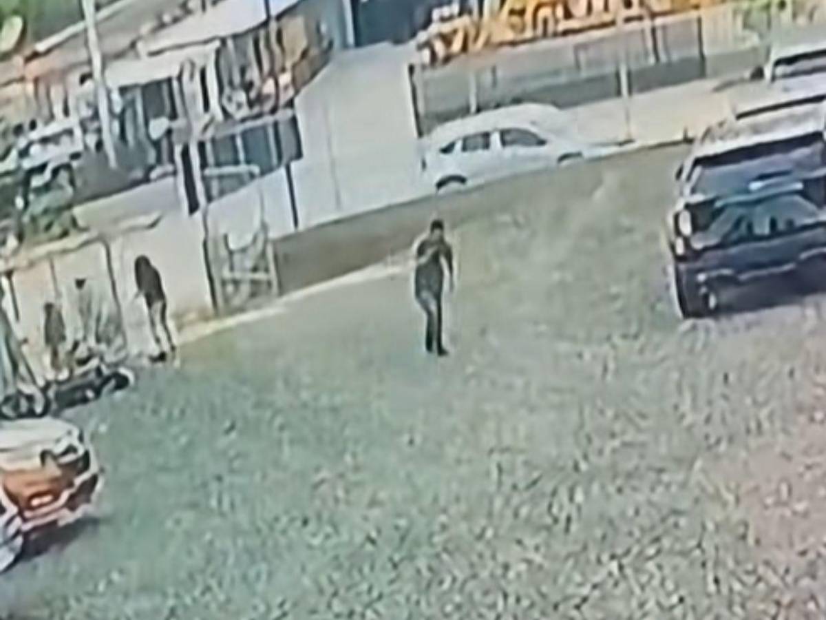 Pidió auxilio tras recibir cuatro disparos: Anner Pastor, policía que murió tras asalto en autolote