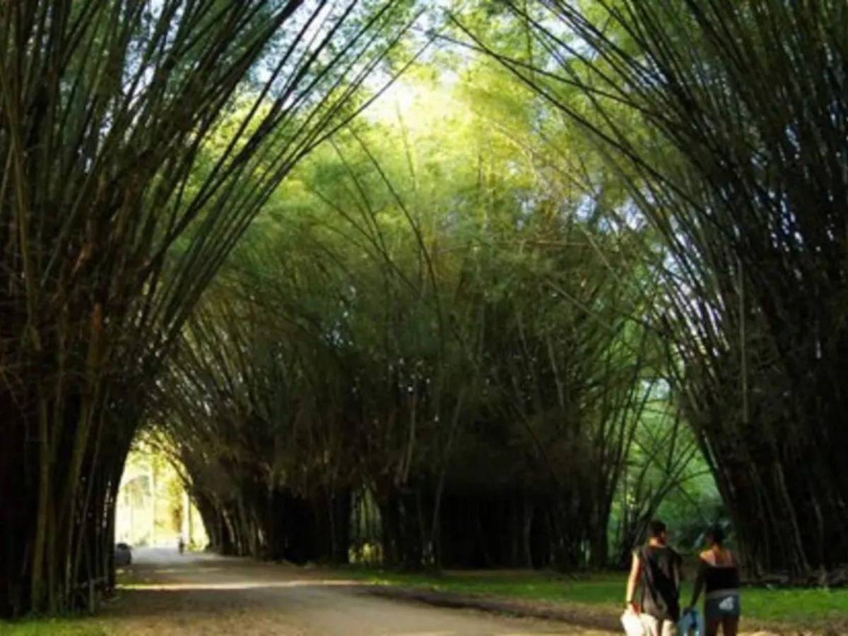 Ruta del oxígeno: parques nacionales de Honduras para visitar esta Semana Santa 2026