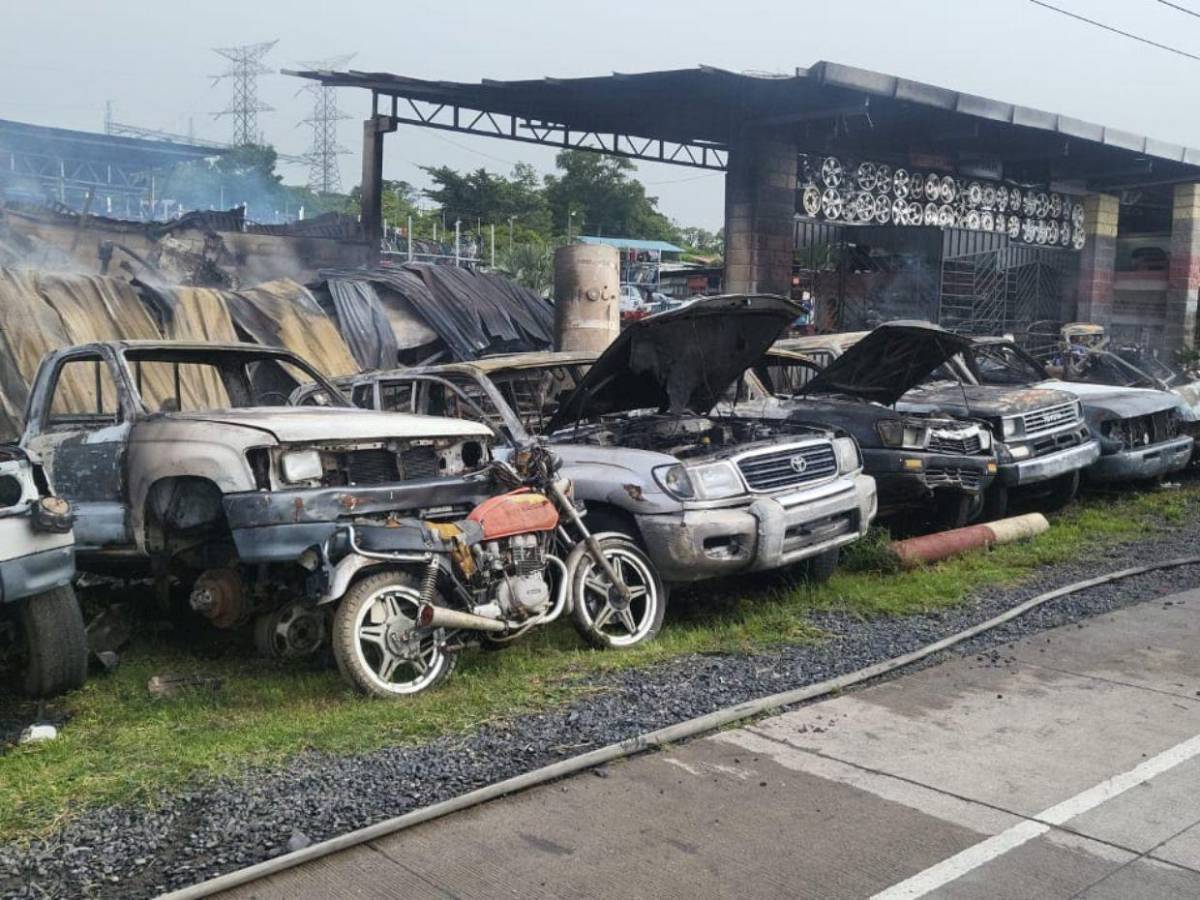 Vehículos calcinados y pérdidas cuantiosas: imágenes del incendio en yonker de Santa Ana
