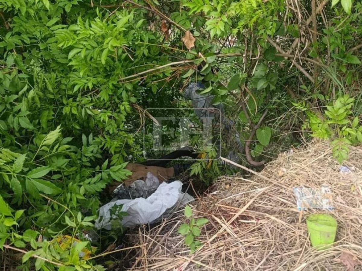 Entre la maleza y con varios disparos: así hallaron a dos hombres asesinados en la colonia 14 de enero