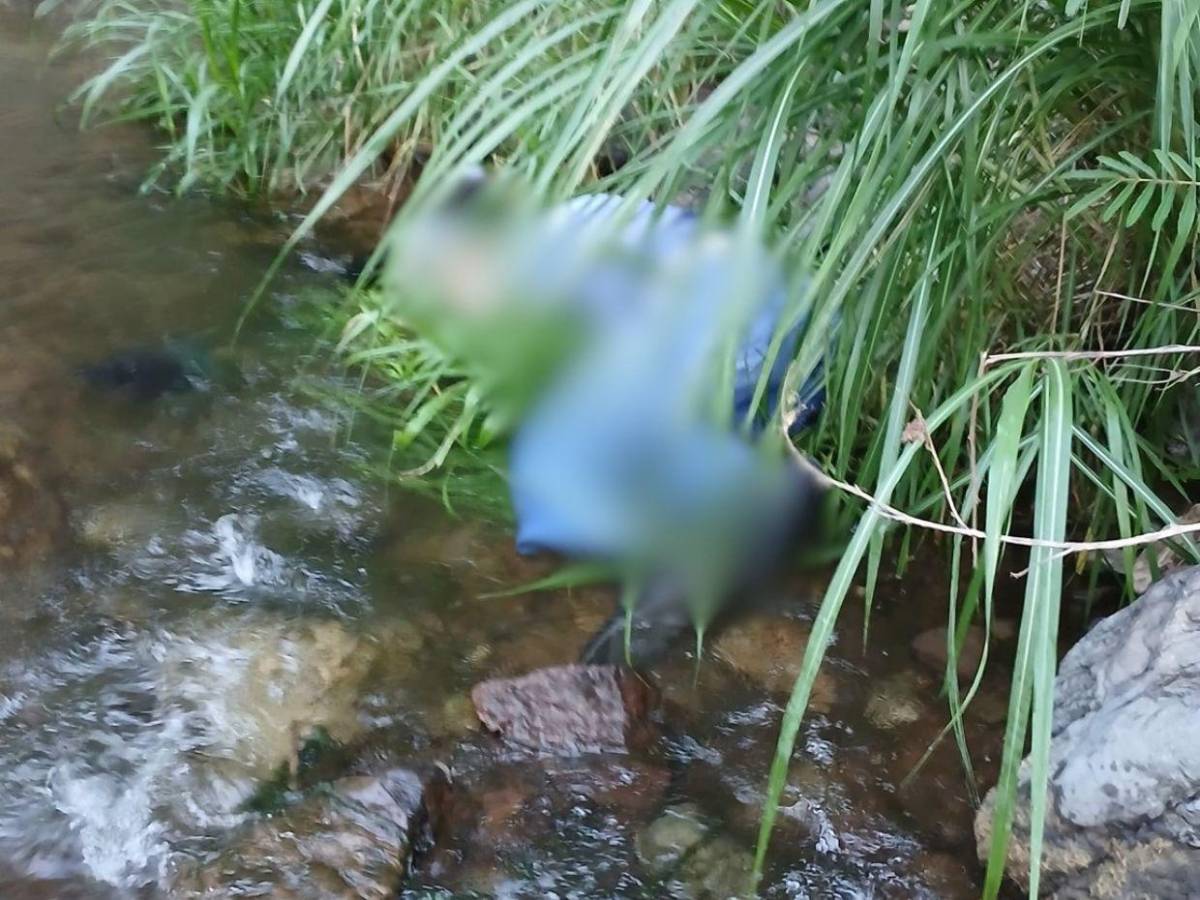 Víctor Flores, cirujano que salvó pequeños corazones, murió en accidente en El Chimbo, FM Víctor Flores, cirujano que salvó pequeños corazones, murió en accidente en El Chimbo, FM