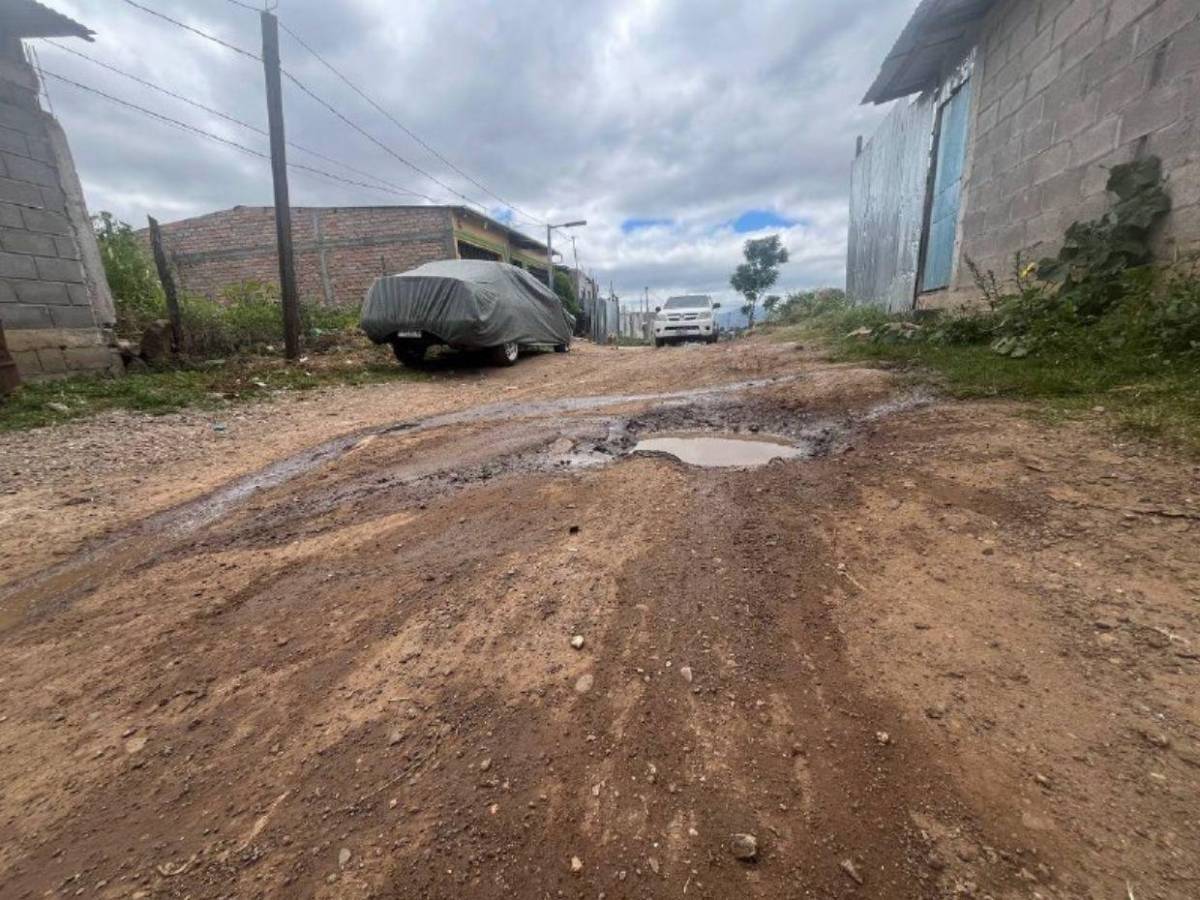 Calles destruidas complican la vida de familias en Monte de Los Olivos