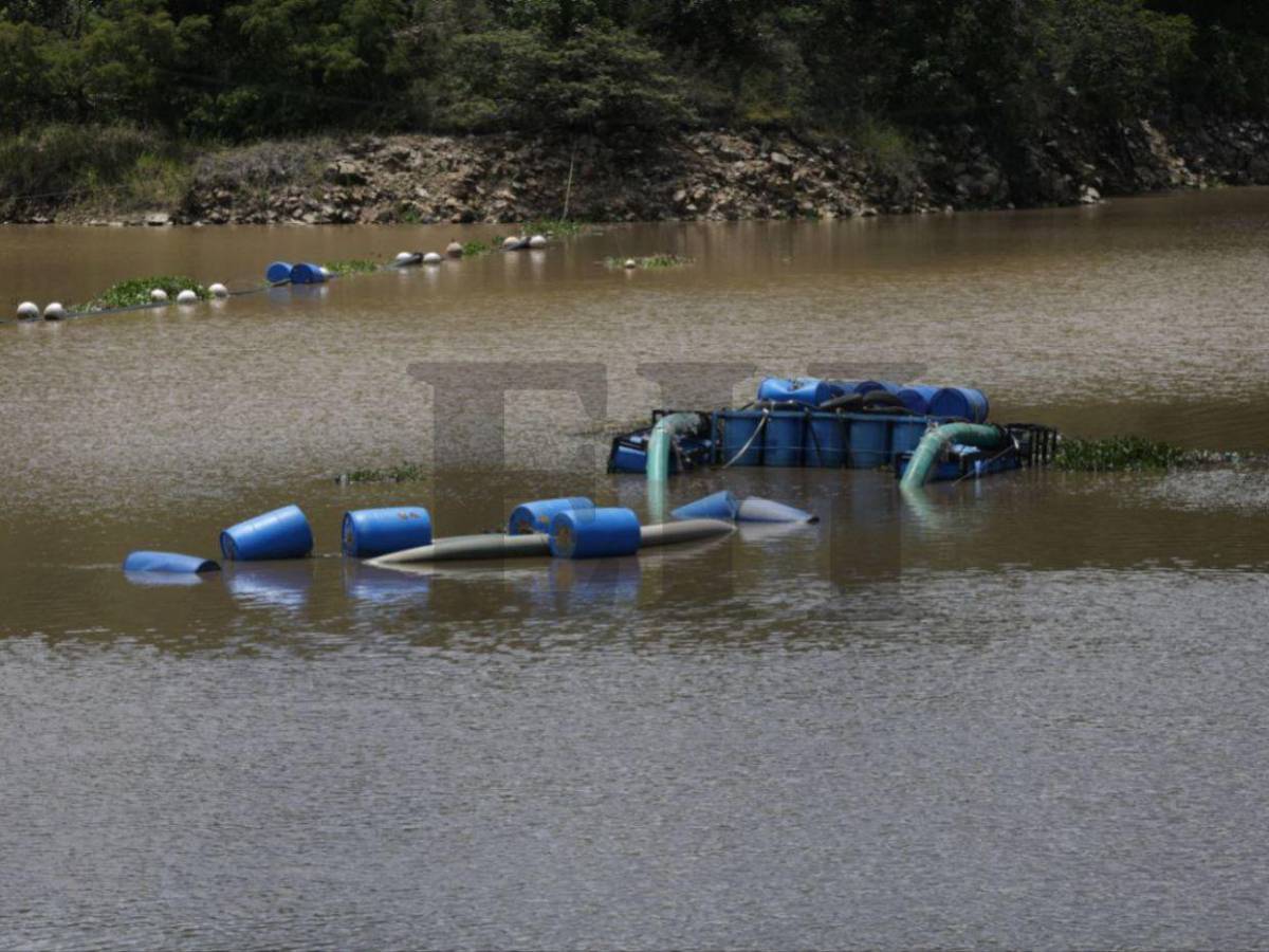 Recientes lluvias abastecen la represa Los Laureles de la capital y provocan inundaciones