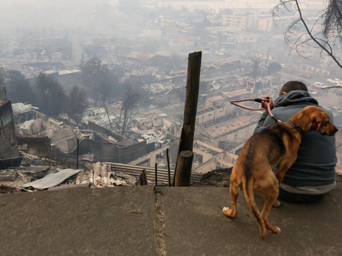 EN FOTOS: Con mascotas en brazos y lágrimas, chilenos abandonan sus casas tras incendio