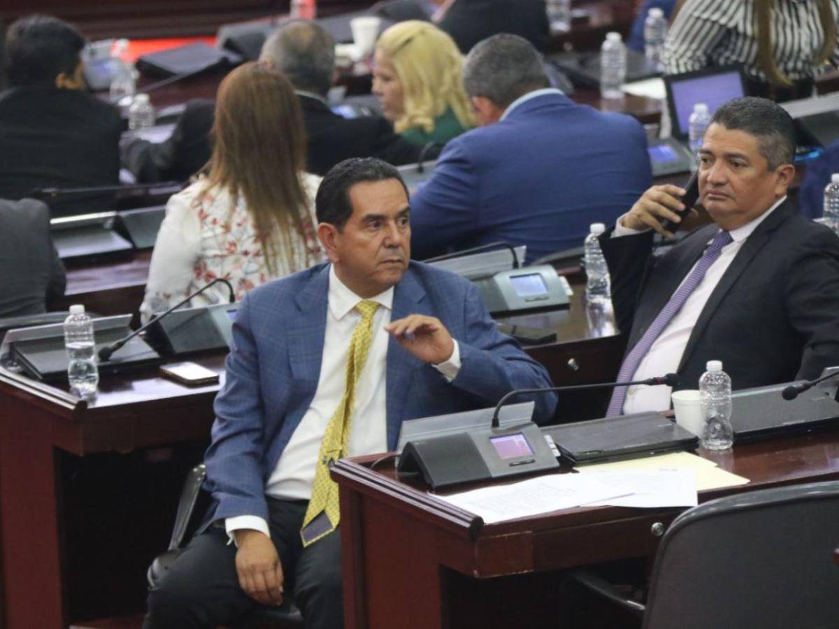 Mientras Redondo está en Marruecos, Congreso Nacional desarrolla sesión legislativa