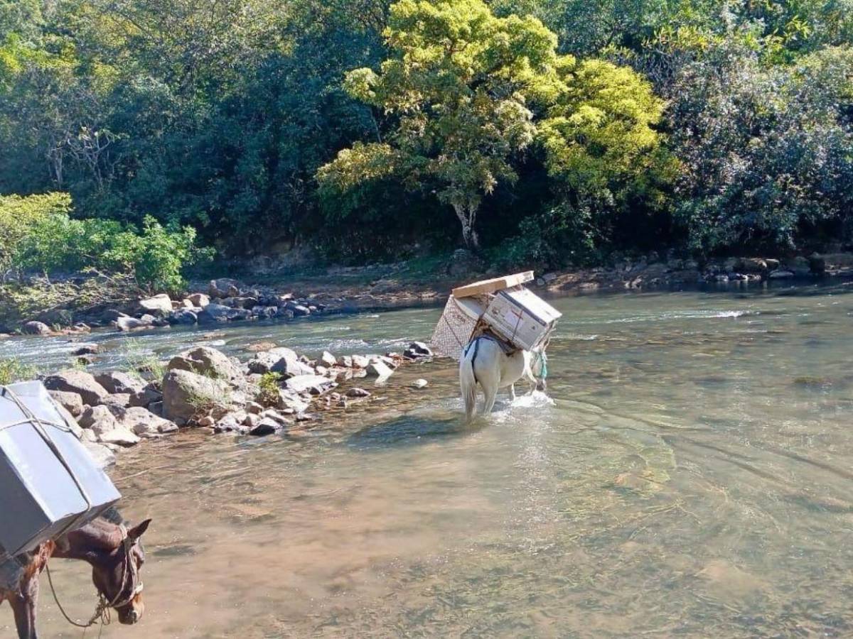 En lanchas y a lomo de mula trasladan maletas electorales a Colomoncagua y Morolica