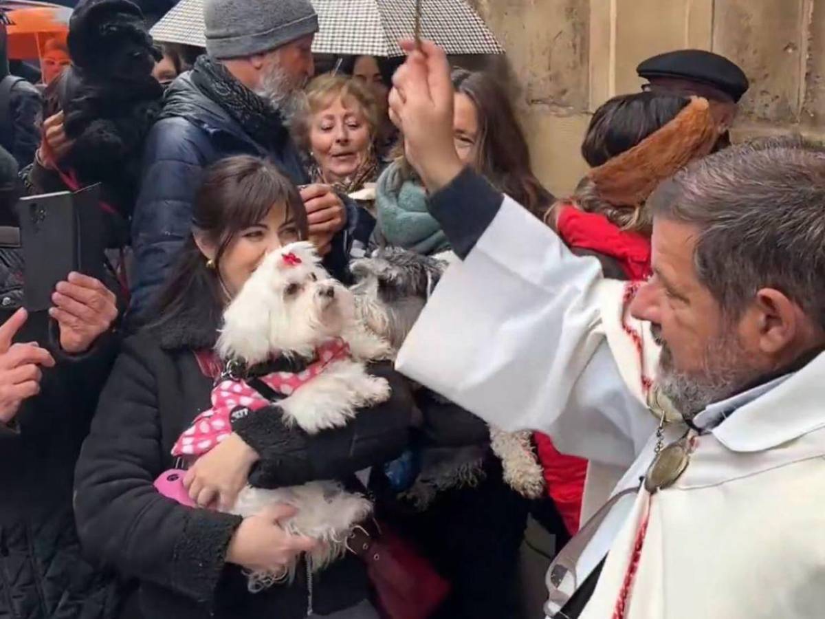 Entre patitas y bendiciones: la emotiva bendición de mascotas en San Antonio de Abad