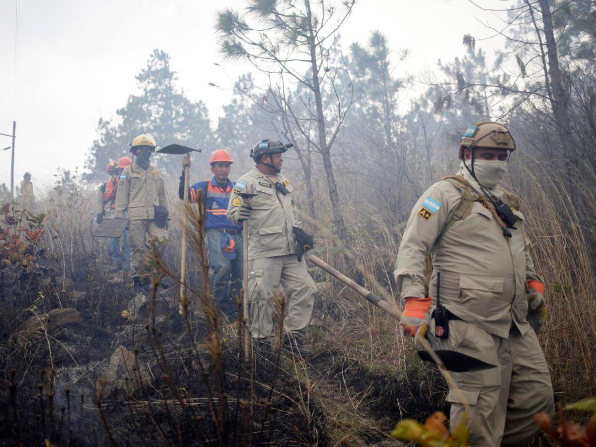 FF AA combaten nueve incendios forestales durante el fin de semana