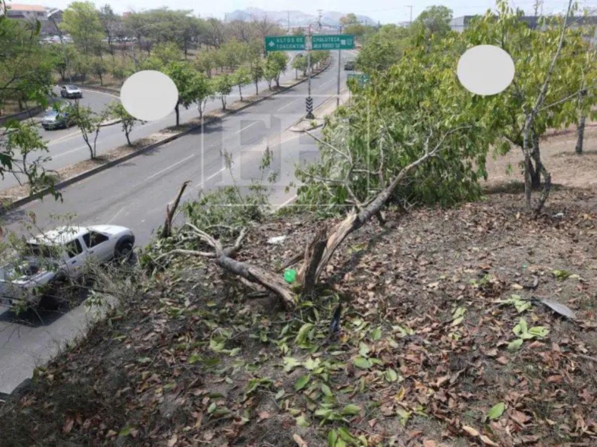 José y Jonathan: ellos son los dos menores que murieron en accidente en Altos de Toncontín