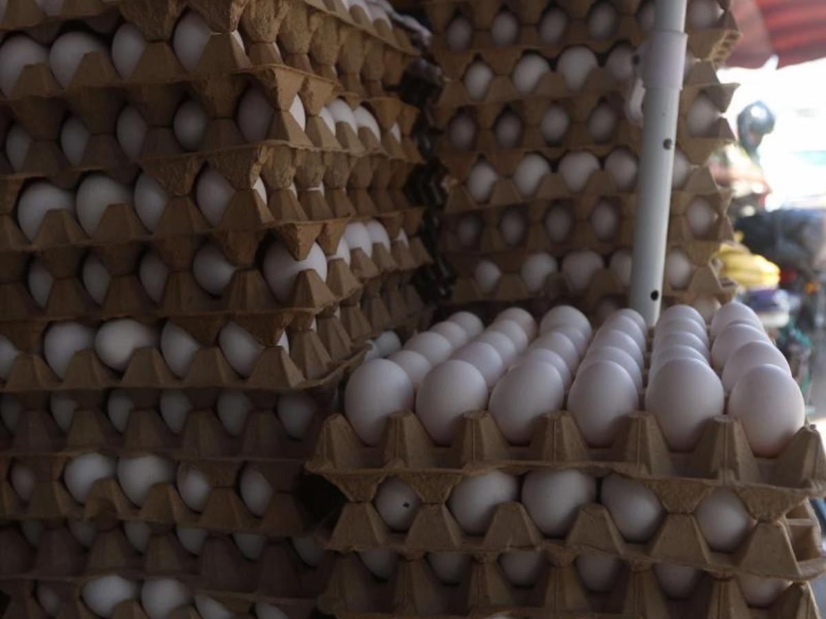 Huevos y lácteos continúan con los precios altos en los mercados capitalinos