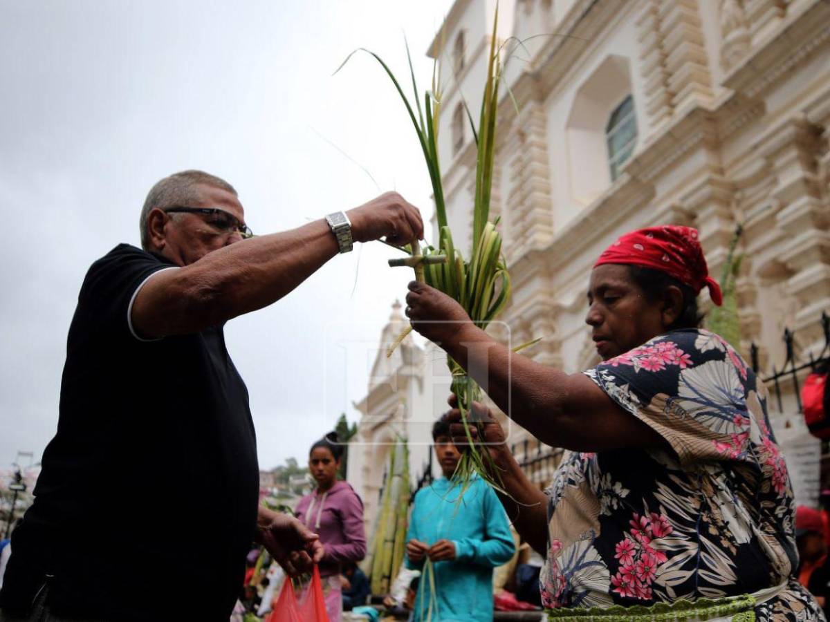 Tegucigalpa se viste de fe: inicia venta de ramos y cruces de palma en la capital