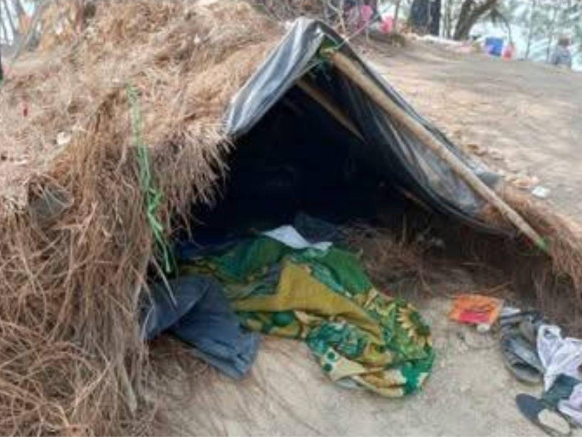 Fosa clandestina revela horror en Guerrero: hallan sin vida a dos jóvenes desaparecidos